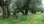 For Sale - Land 8500 m² in Zante