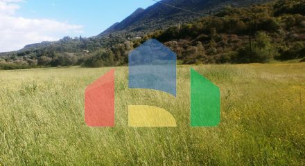 For Sale - Land 23000 m² in Epirus