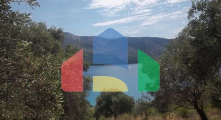 For Sale - Land 4182 m² in Epirus