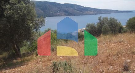 For Sale - Land 4182 m² in Epirus