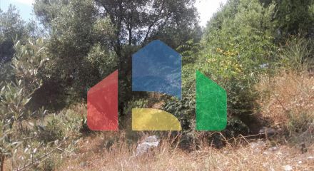 For Sale - Land 4182 m² in Epirus