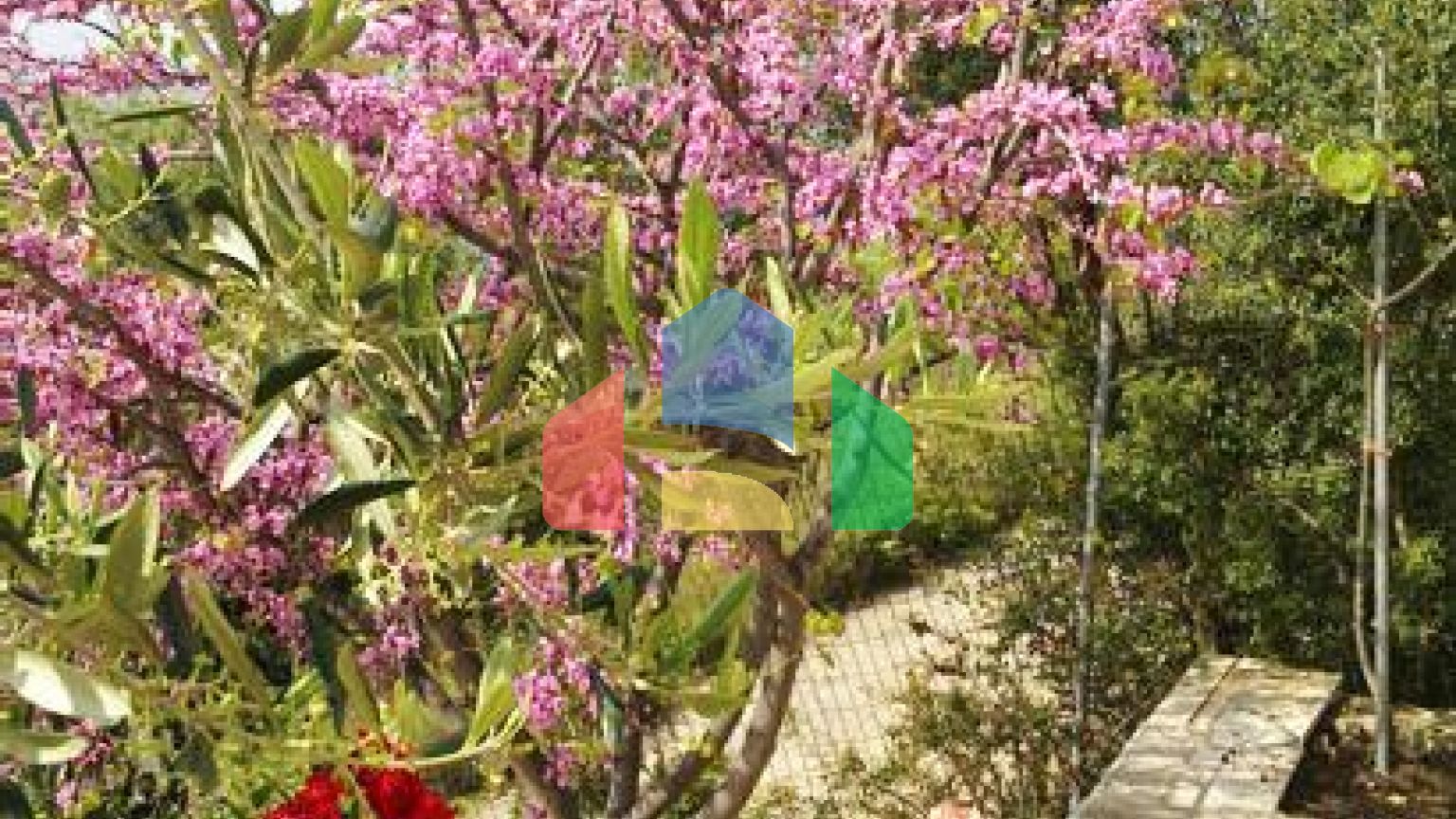 Продаж - Вілла 345 m² в Епірі