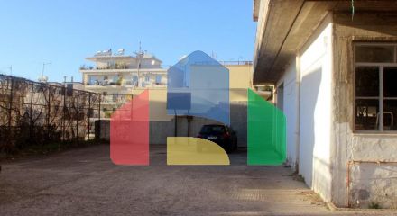 For Sale - Business 560 m² in Epirus