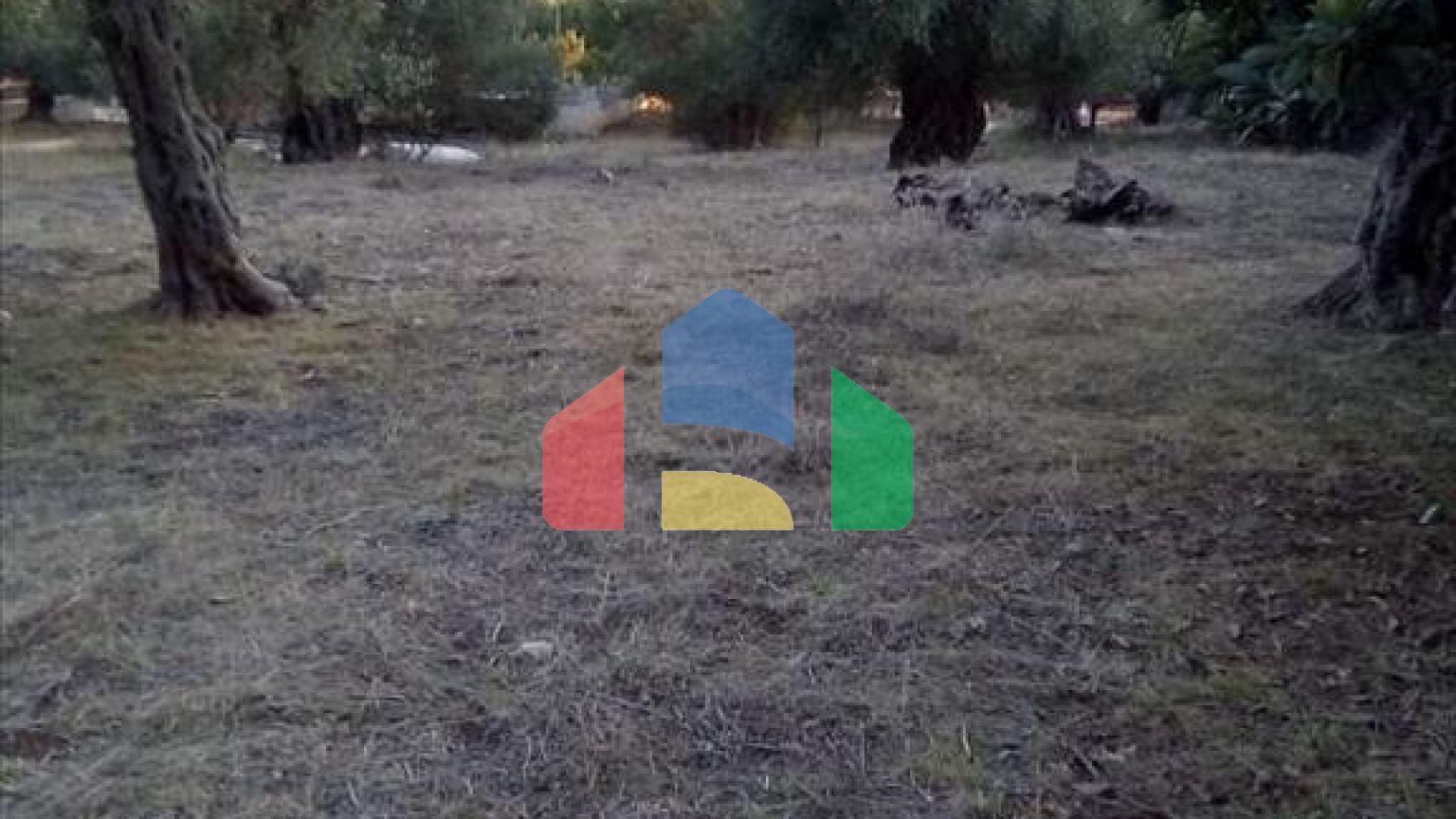 Продажа - Земельный участок 2537 m² в Эпире