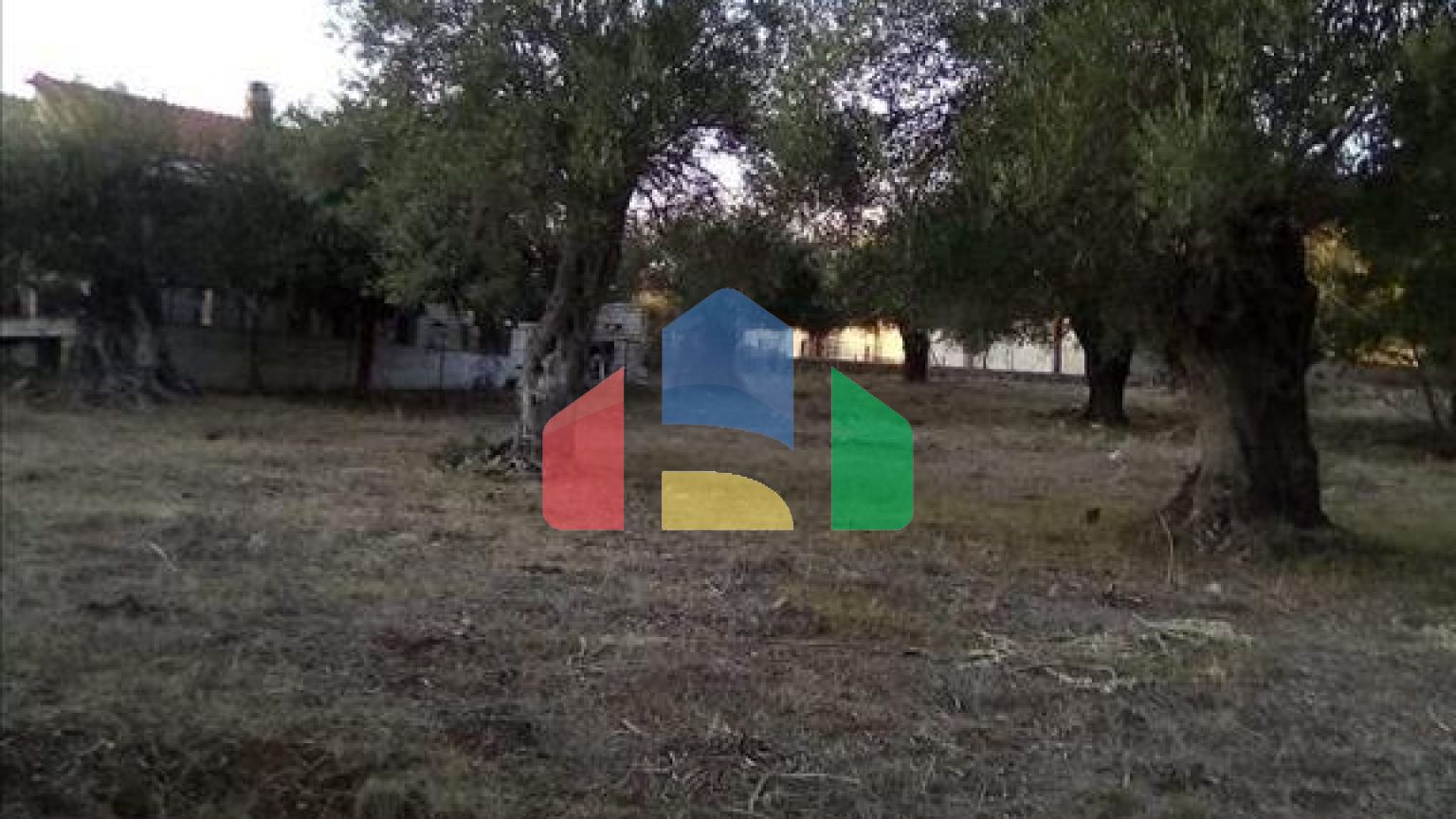 Продажа - Земельный участок 2537 m² в Эпире