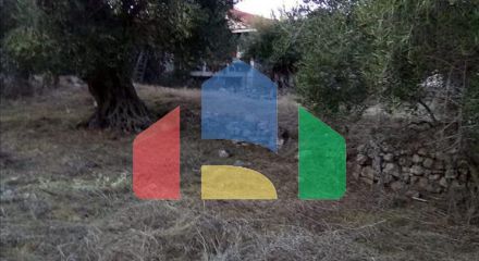 Продажа - Земельный участок 2537 m² в Эпире