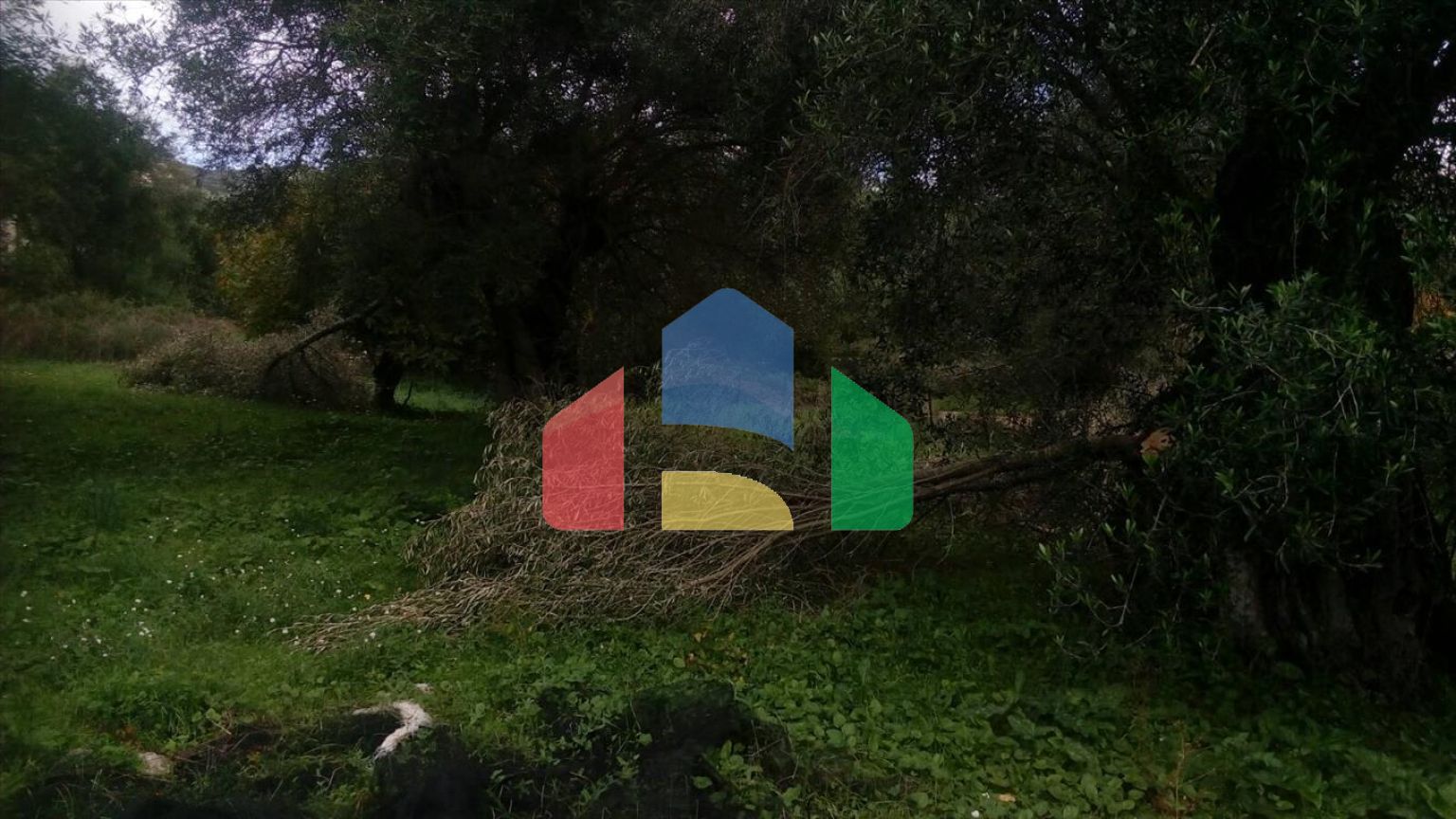 Продажа - Земельный участок 2537 m² в Эпире