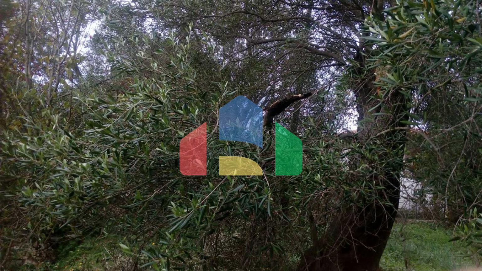 Продажа - Земельный участок 2537 m² в Эпире