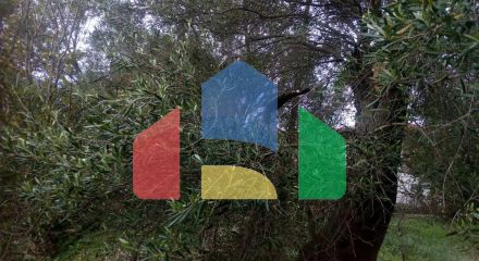 Продажа - Земельный участок 2537 m² в Эпире