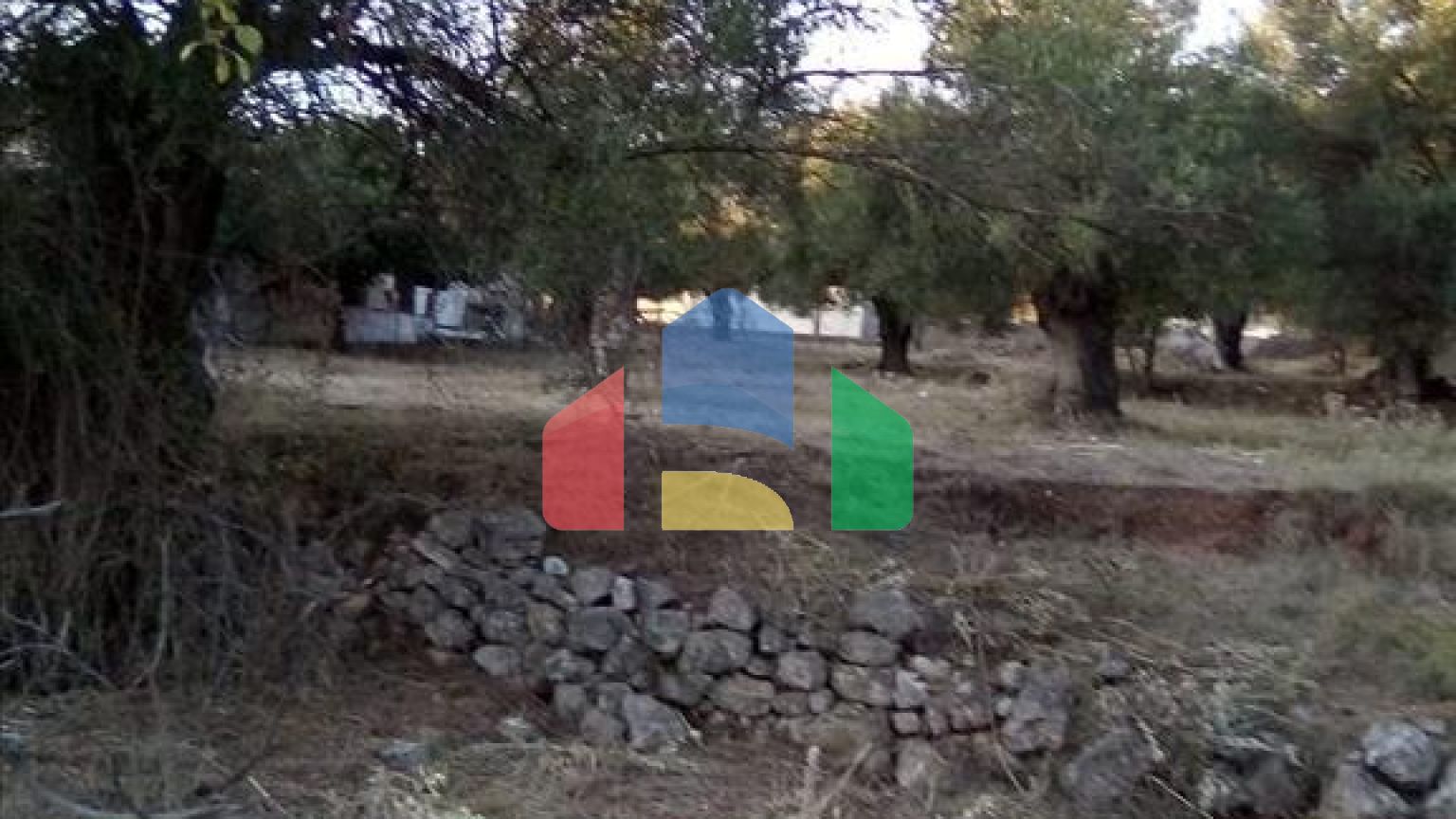 Продажа - Земельный участок 2537 m² в Эпире