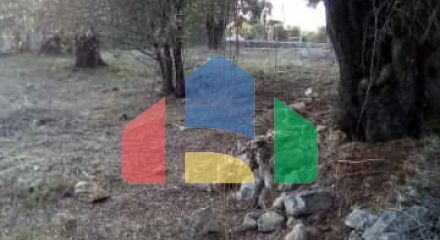 Продажа - Земельный участок 2537 m² в Эпире