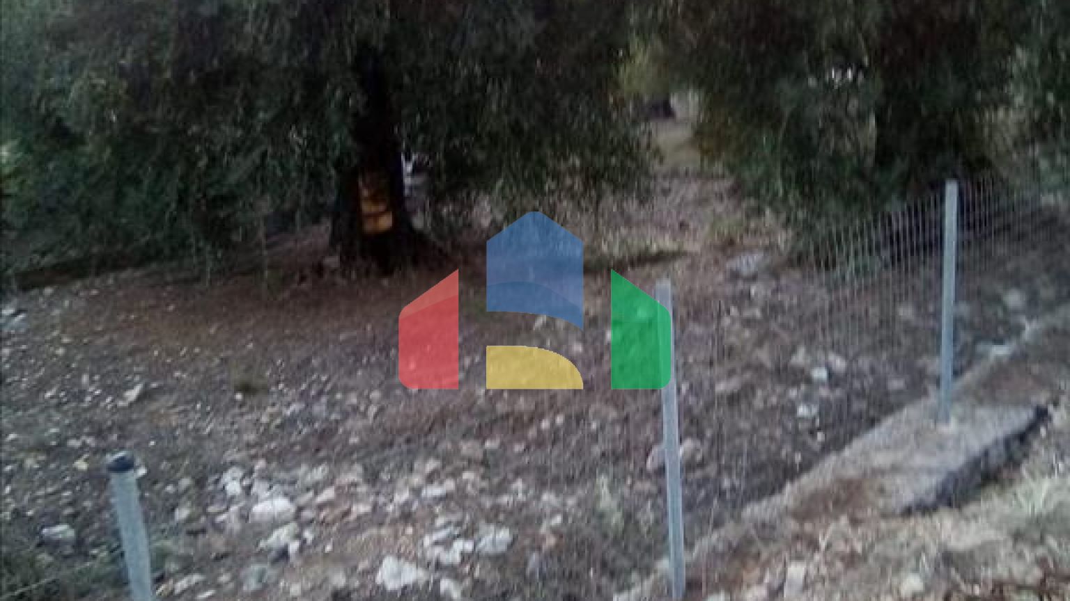 Продажа - Земельный участок 2537 m² в Эпире