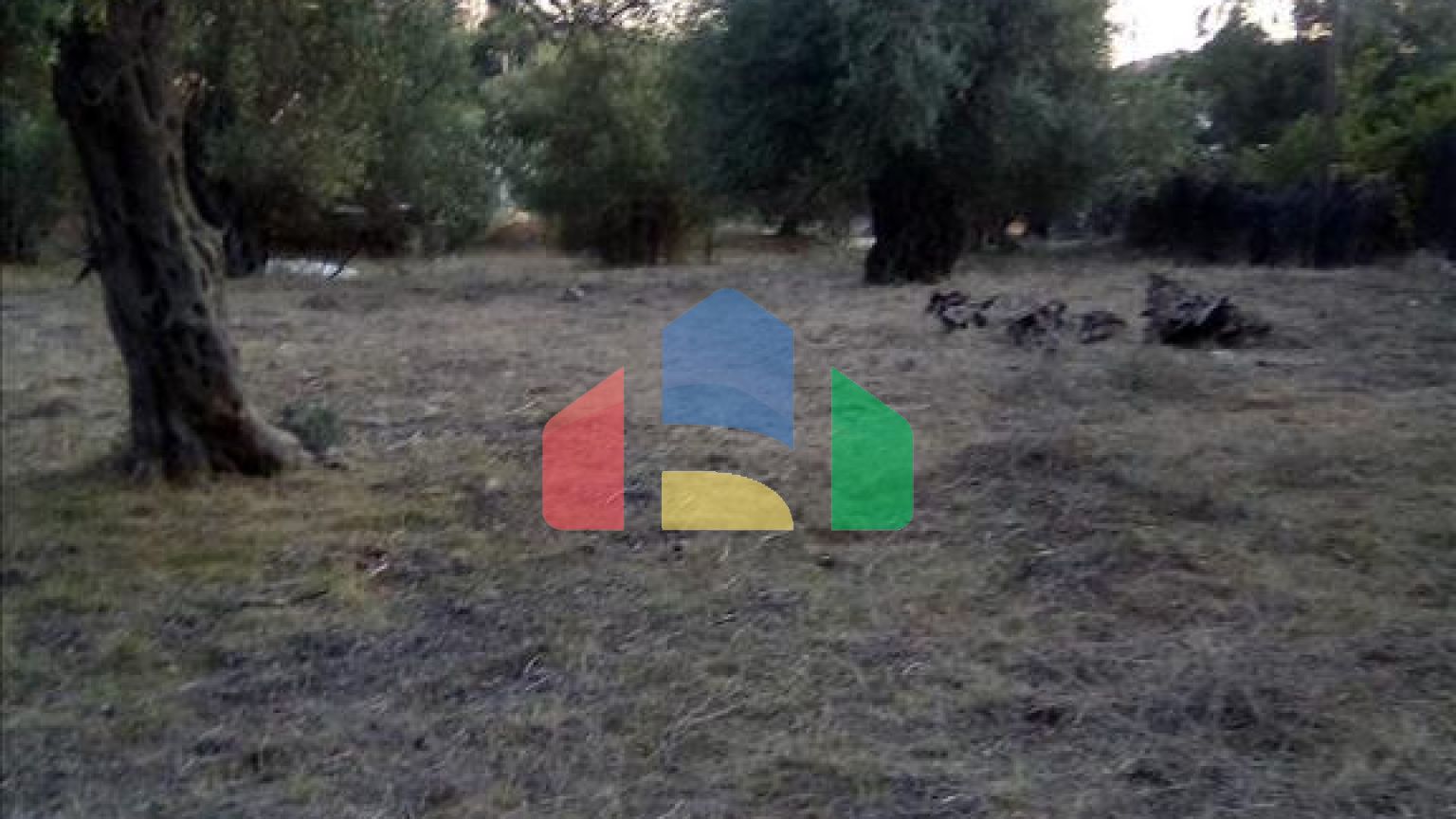 Продажа - Земельный участок 2537 m² в Эпире