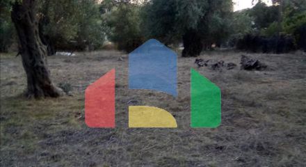 Продажа - Земельный участок 2537 m² в Эпире