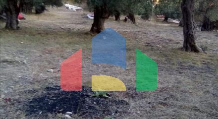 Продажа - Земельный участок 2537 m² в Эпире