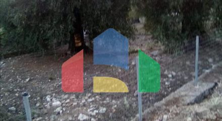 Продажа - Земельный участок 2537 m² в Эпире