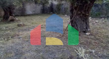 Продажа - Земельный участок 2537 m² в Эпире