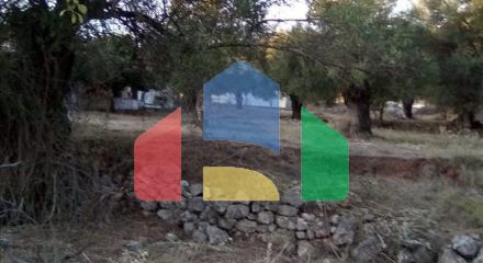 Продажа - Земельный участок 2537 m² в Эпире