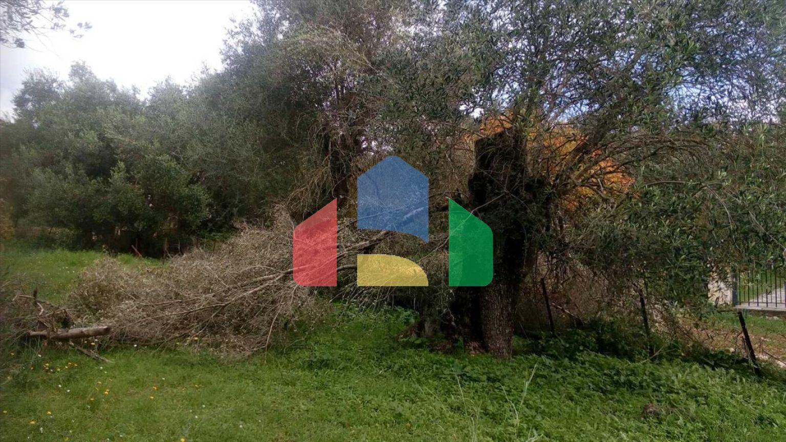 Продажа - Земельный участок 2537 m² в Эпире