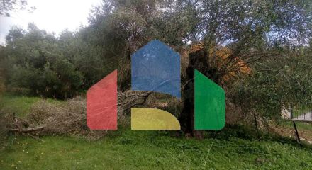 Продажа - Земельный участок 2537 m² в Эпире