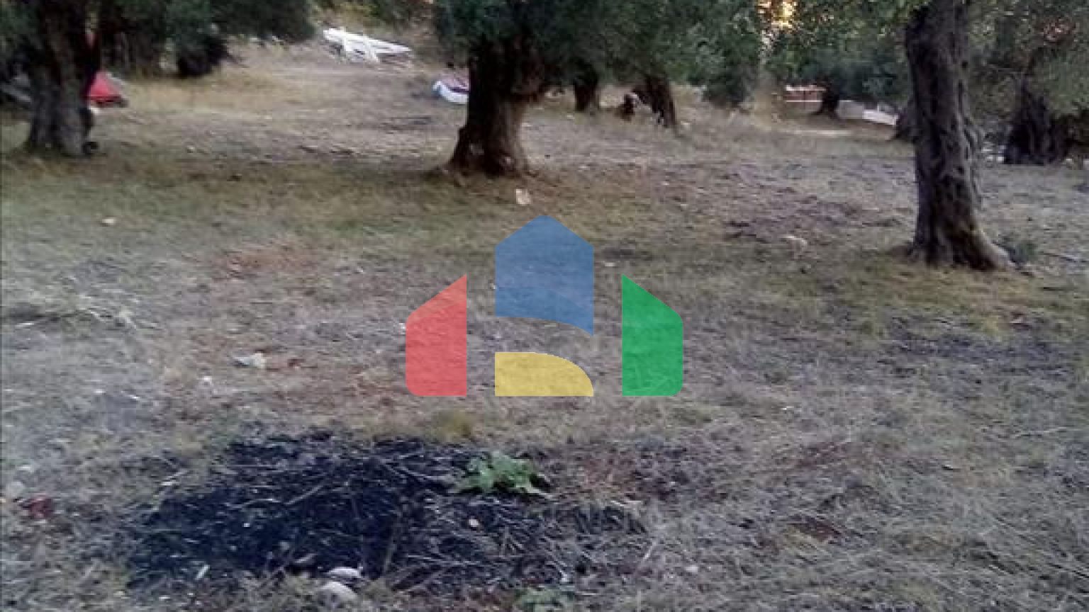 Продажа - Земельный участок 2537 m² в Эпире