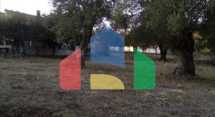 Продажа - Земельный участок 2537 m² в Эпире