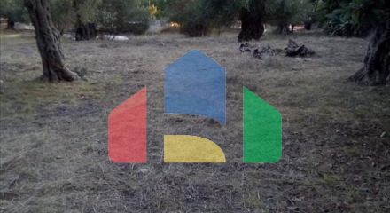 Продажа - Земельный участок 2537 m² в Эпире