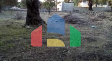 Продажа - Земельный участок 2537 m² в Эпире