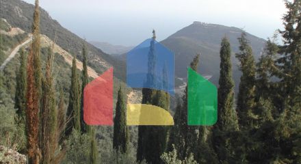 For Sale - Land 10000 m² in Epirus