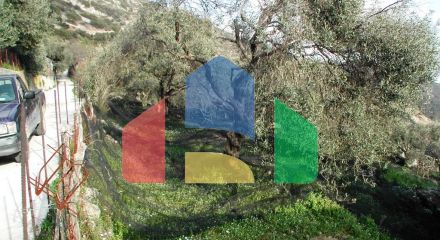 For Sale - Land 10000 m² in Epirus