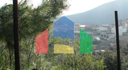 For Sale - Land 10000 m² in Epirus