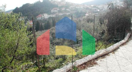 For Sale - Land 10000 m² in Epirus