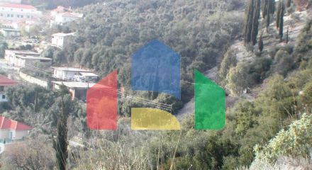 For Sale - Land 10000 m² in Epirus