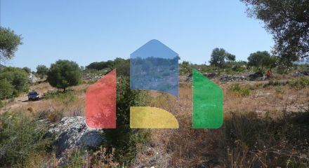 Продажа - Земельный участок в Эпире Продажа - Земельный участок в Эпире