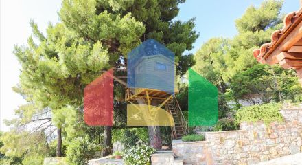 Продажа - Вилла 640 m² Спорады