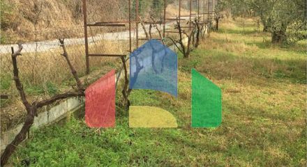 Продаж - Земельна ділянка 5343 m² Північна Греція