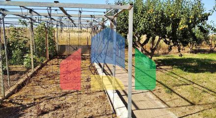 Продаж - Котедж 225 m² Фракія