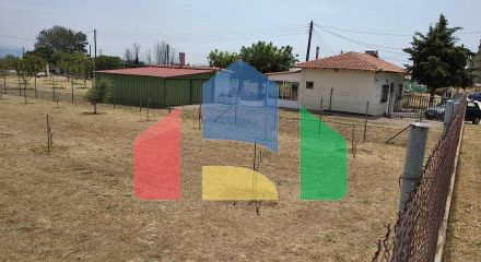 Продажа - Коммерческое помещение 487 m² Фракия