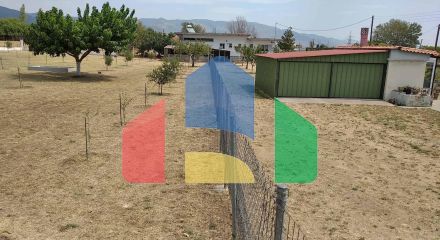 Продажа - Коммерческое помещение 487 m² Фракия