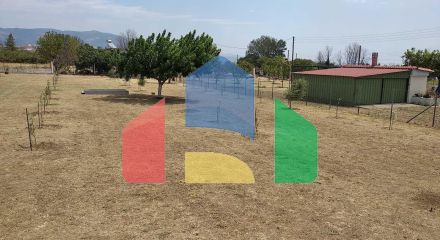 Продажа - Коммерческое помещение 487 m² Фракия