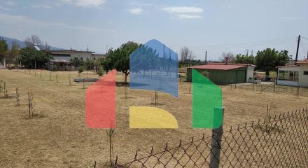 Продажа - Коммерческое помещение 487 m² Фракия