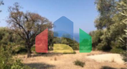 Продаж - Земельна ділянка 13650 m² на Іонічних островах