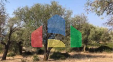 Продаж - Земельна ділянка 13650 m² на Іонічних островах