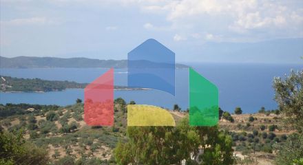 For Sale - Land 4000 m² in Eastern Peloponnese - Ermionida