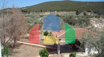 Продажа - Коттедж 215 m² на Восточном Пелопоннесе - Ермионида