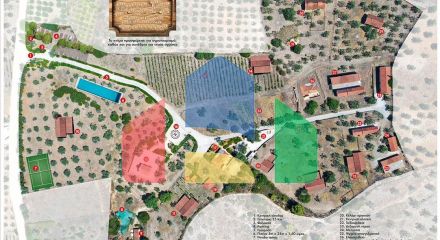 For Sale - Land 41575 m² in Eastern Peloponnese - Ermionida