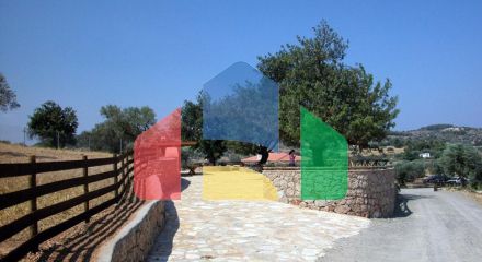 For Sale - Land 41575 m² in Eastern Peloponnese - Ermionida