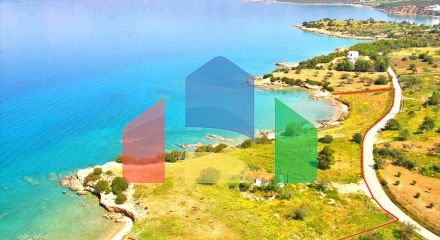 For Sale - Land 11000 m² in Eastern Peloponnese - Ermionida