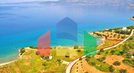 For Sale - Land 11000 m² in Eastern Peloponnese - Ermionida