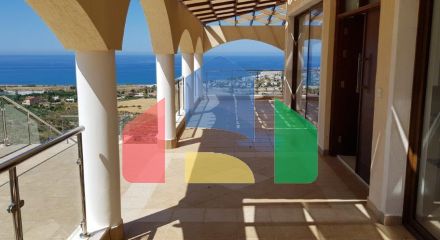 Продажа - Вилла 440 m² в Пафосе Продажа - Вилла 440 m² в Пафосе